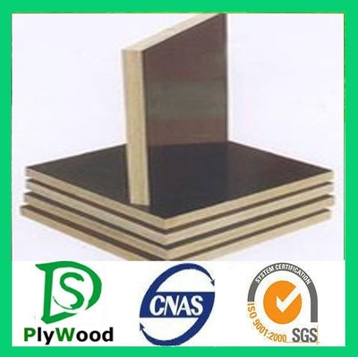 建筑模板廠家,建筑覆膜模板批發 盛大華宇木業圖片_高清圖_細節圖-臨沂市盛大華宇木業 -