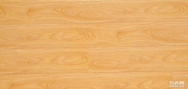 浙江雙友木業(yè)實木地板