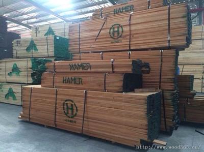 福州大樹(shù)木業(yè) -中國(guó)木業(yè)網(wǎng)