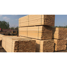 拉薩木材市場介紹與鼎泰豐木業推薦