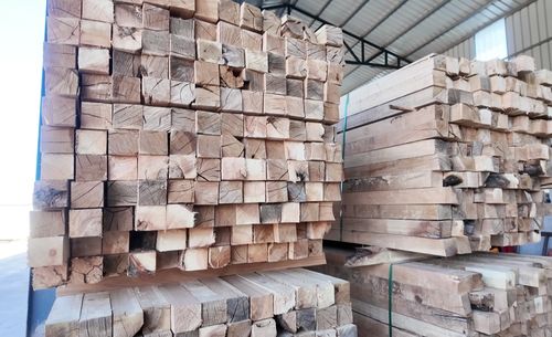 投資億元，新源添新綠——新疆新源縣現(xiàn)代化木材加工廠正式投產(chǎn)，引領(lǐng)木業(yè)高質(zhì)量發(fā)展