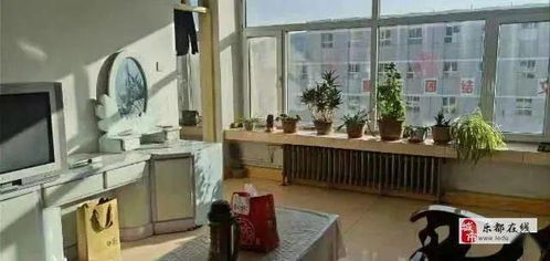 樂都1月6日精品房源速遞 精選住房出租，不容錯過！